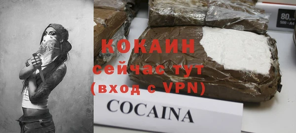 прущий лед Алзамай