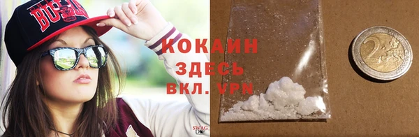 прущий лед Алзамай