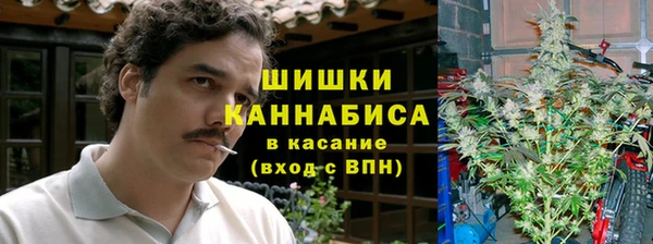 прущий лед Алзамай