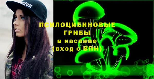 прущий лед Алзамай
