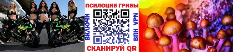 Псилоцибиновые грибы прущие грибы Анива
