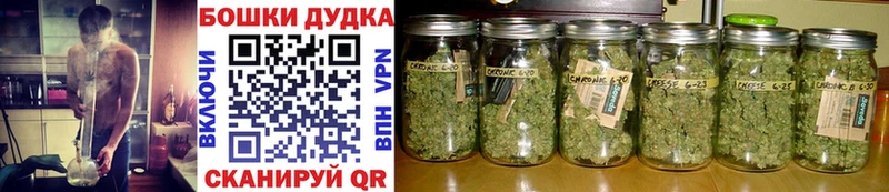 Бошки марихуана THC 21% Анива